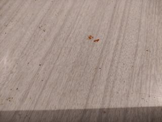 Cucina vintage Mesa, di Formica