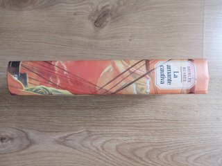 La amante cautiva-Shirlee Busbee. Novela romántica