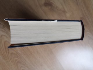 La amante cautiva-Shirlee Busbee. Novela romántica