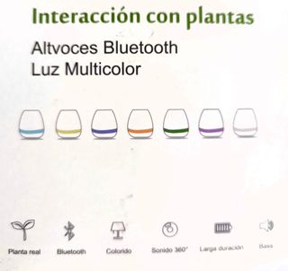 Tiesto altavoz muy divertido