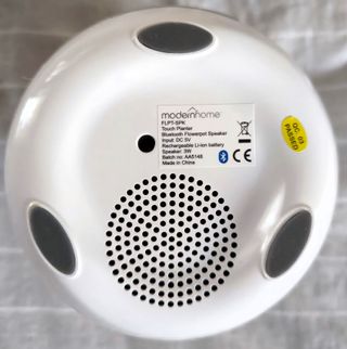 Tiesto altavoz muy divertido