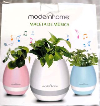 Tiesto altavoz muy divertido