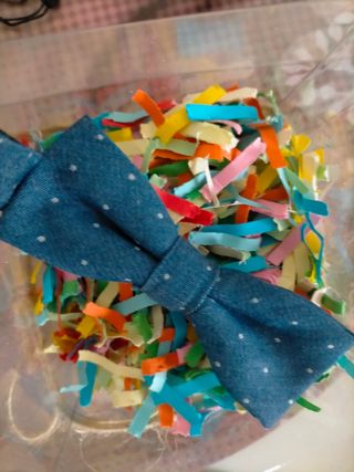 Pajarita de diseño y calidad