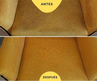 Limpieza sofá / colchón / sillas a domicilio/
