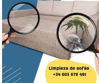 Limpieza sofá / colchón / sillas a domicilio/
