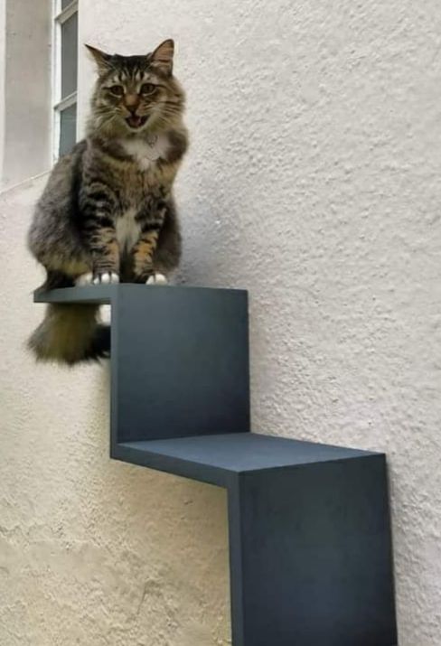 Giocattolo interattivo per gatti