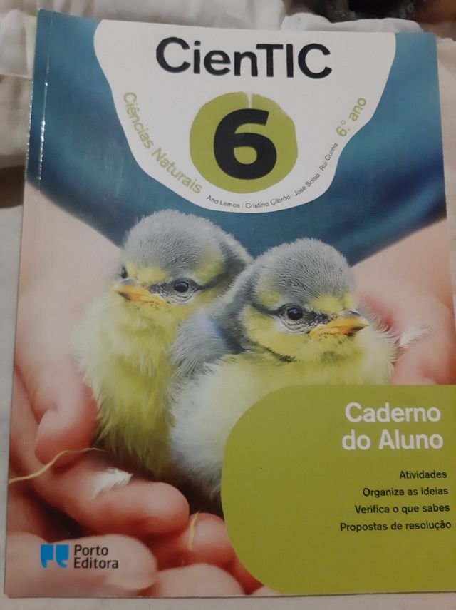 Livro de fichas 6 ano