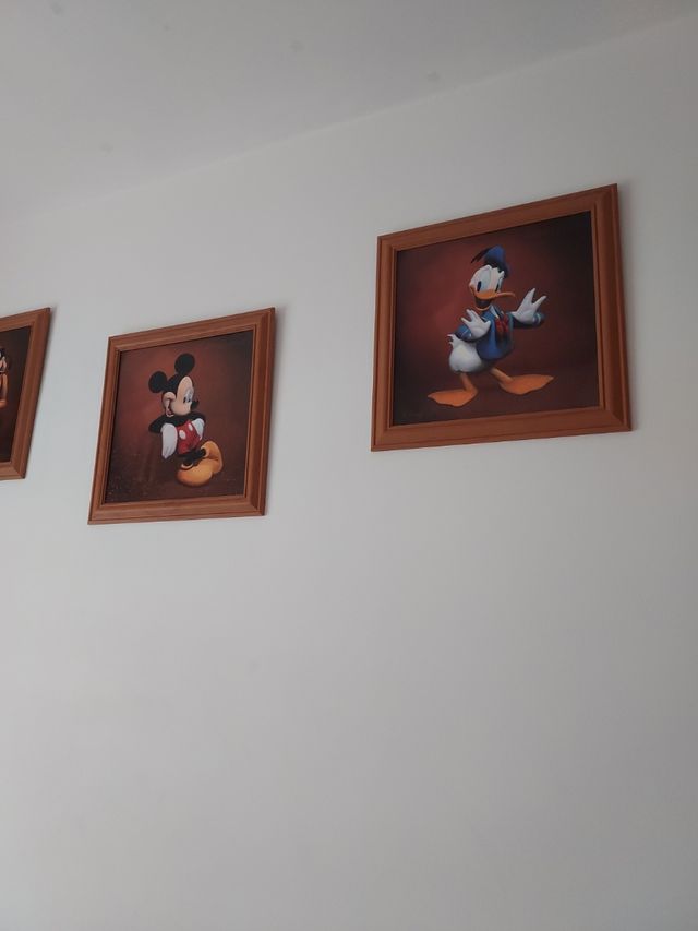 Lote de cuadros Disney