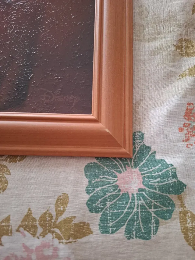 Lote de cuadros Disney