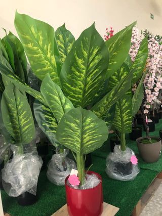 TODO EN DECORACIÓN PARA TU HOGAR Y JARDIN