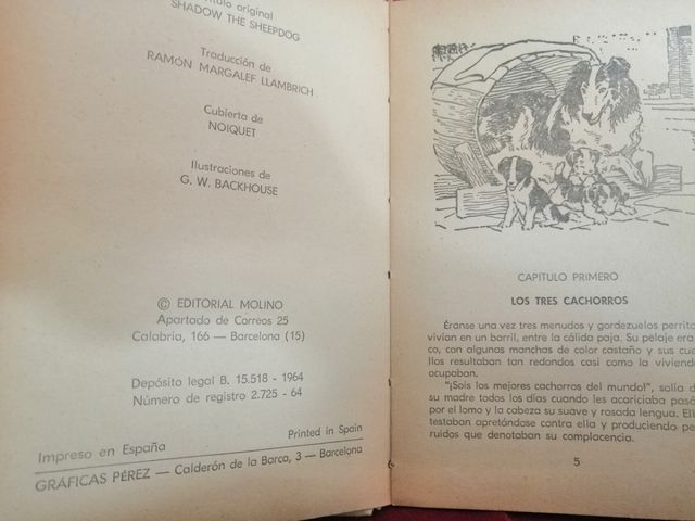 Shadow el perro pastor