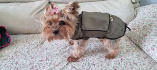 Chubasquero para perros