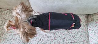 Chubasquero para perros