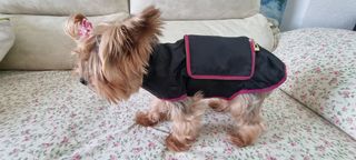 Chubasquero para perros