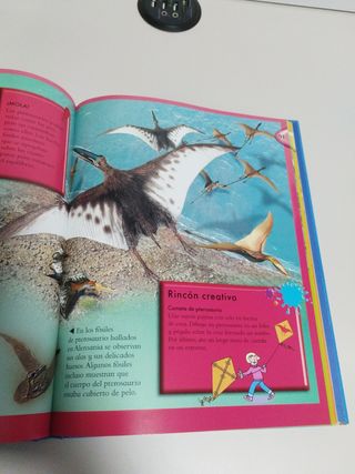 Libro dinosaurios