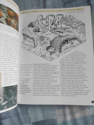 Enciclopedia dei dinosauri