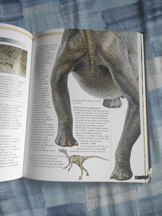 Enciclopedia dei dinosauri