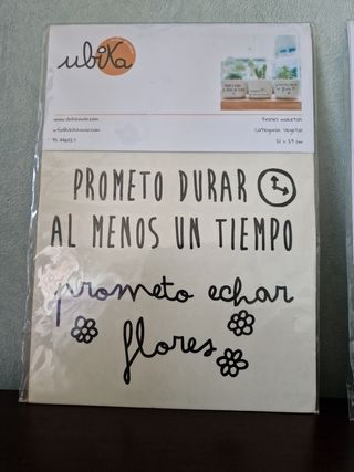 Vinilos para macetas