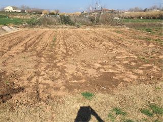 se vende huerto con todo  al corriente