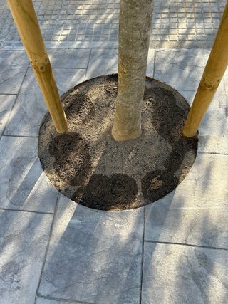instalacion de riego automatico