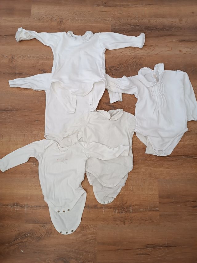 Lote 7 bodies 12 meses