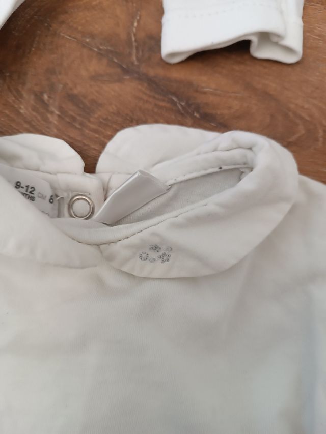 Lote 7 bodies 12 meses