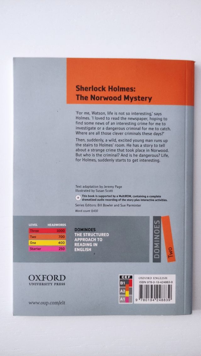 Libro 'The Norwood Mystery'