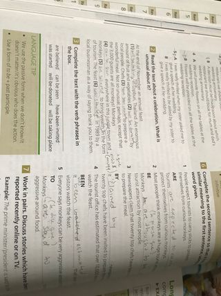 Gold B1 First. New Edition