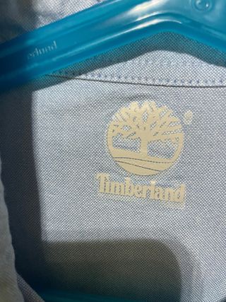 Camicia Ragazzo Timberland