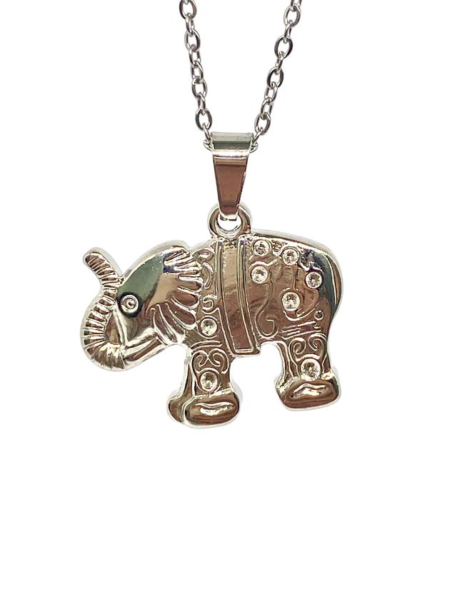 Collar de acero inoxidable dorado o plateado