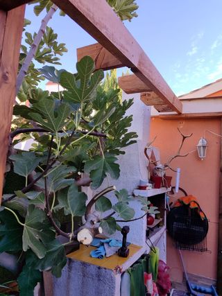 Pergola de madera a medida