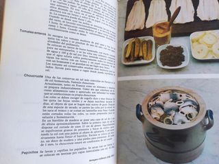 Lote. Gran Libro de Cocina 2 vol.