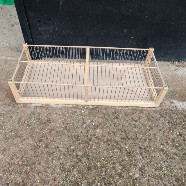 transportin silvestrismo