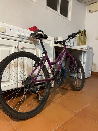 BICICLETA