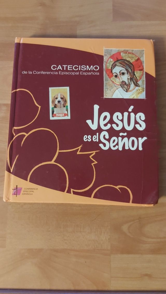 Libro catequesis