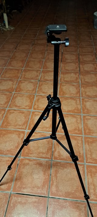 Trípode para cámaras de foto o vídeo