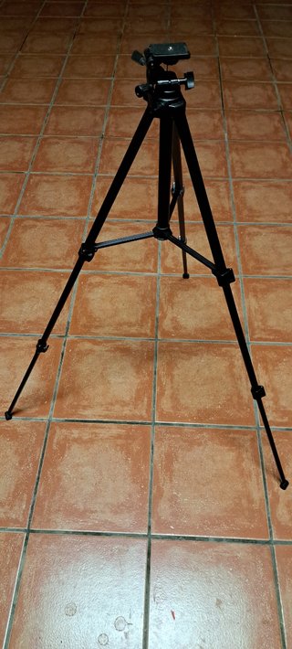 Trípode para cámaras de foto o vídeo
