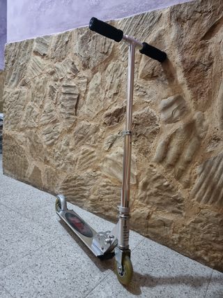 Patin El Marca