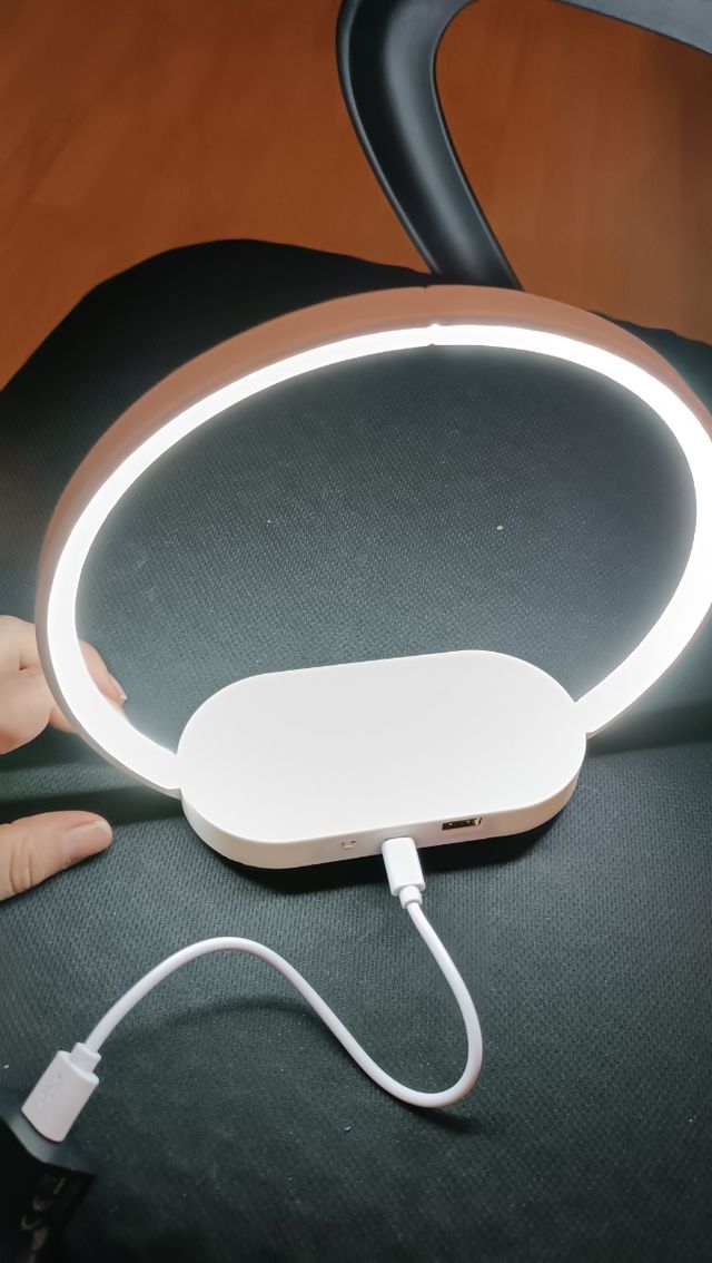 Cargador inalámbrico móvil