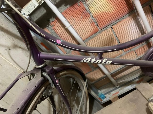 Bicicletta vintage per arredamento negozi