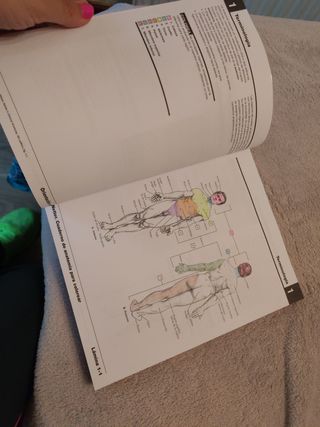 Anatomía para colorear