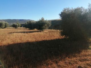 Ref. 23111 CHALET EN ARGAMASILLA CVA