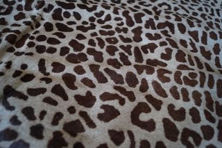 Alfombra Piel De Vaca Estampado Leopardo