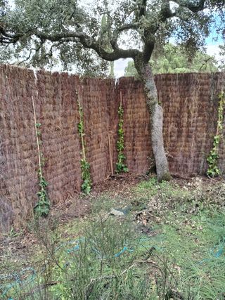 Obras y reformas