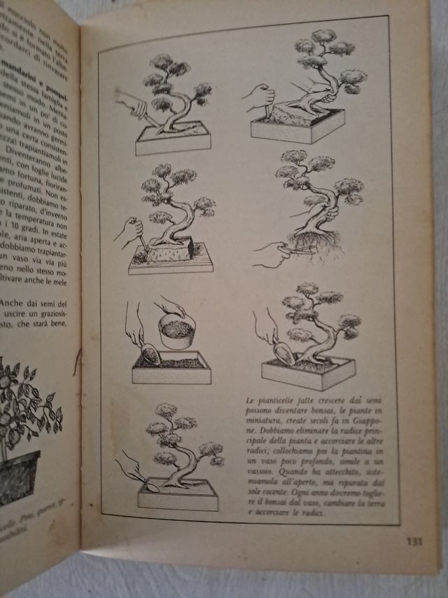 Libro Il manuale dei ragazzi ed. 1978 Rizzoli 