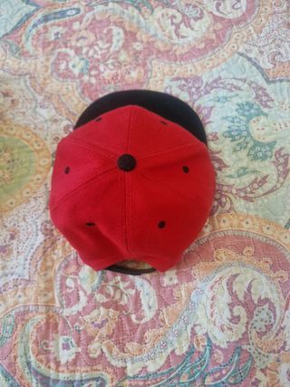 Vans gorra