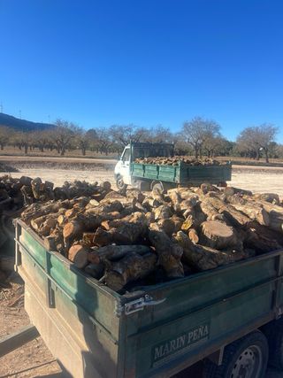 Vendita di legna a domicilio