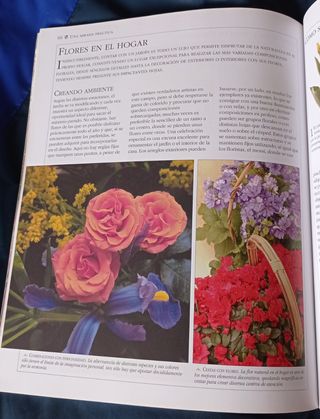 Jardinería en Espacios Pequeños