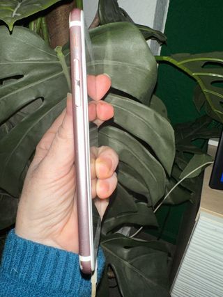iphone 6S rosa