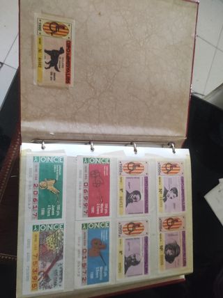 Colección loteria once